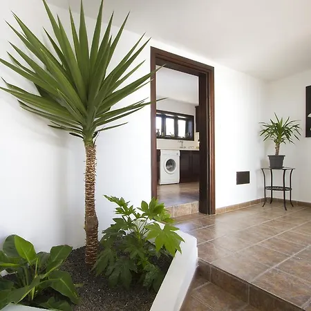 Casita Palmera Ариа
