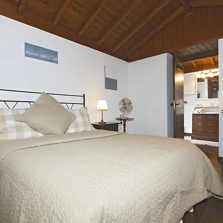 Casita Palmera